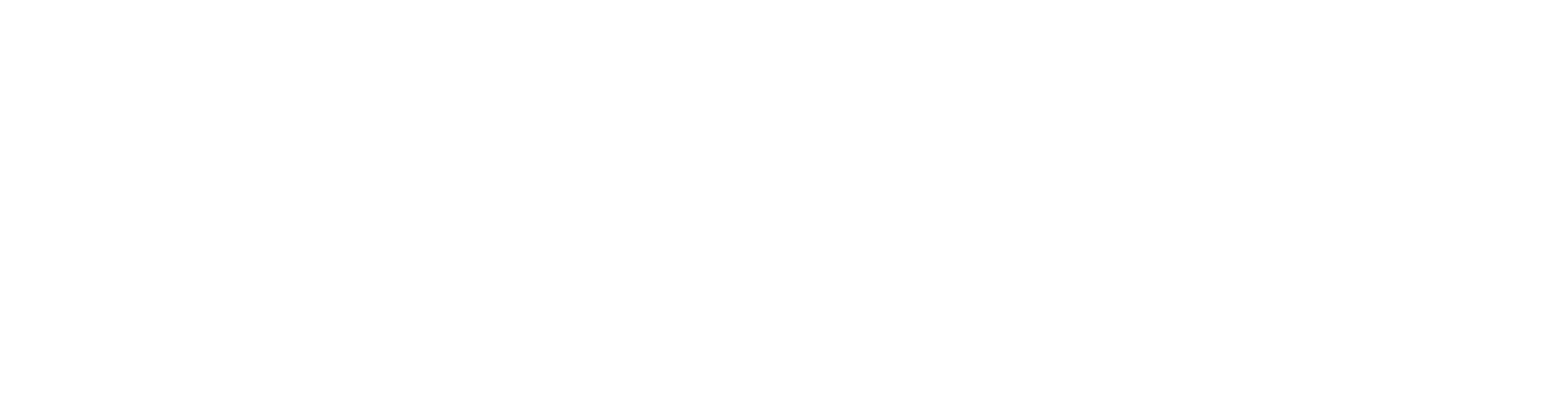 SOJOS VISION